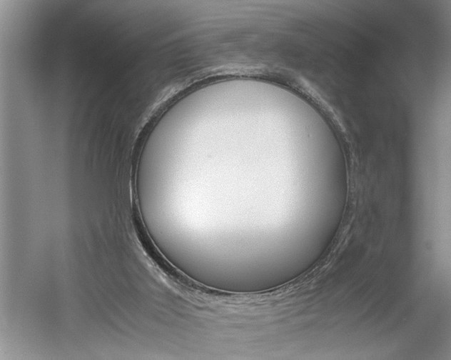 X0000061140011200511181018