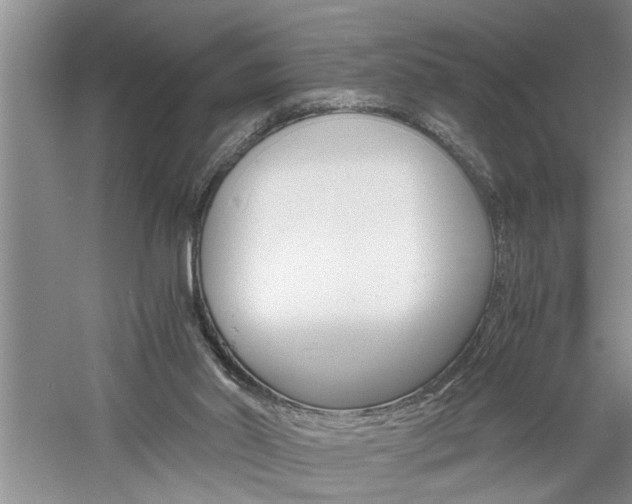X0000061140014200511181018