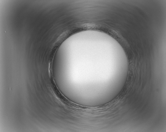 X0000061140024200511181018