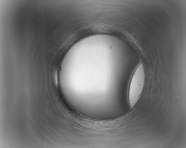 X0000061140027200511181018