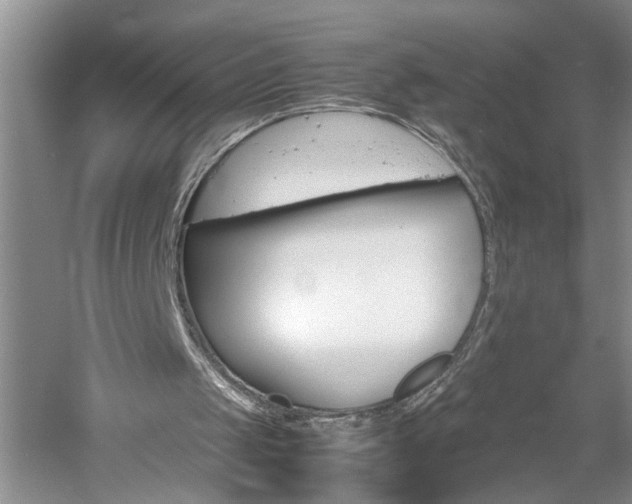 X0000061140049200511181017