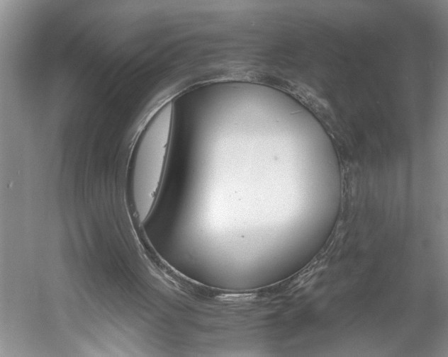 X0000061140051200511181017