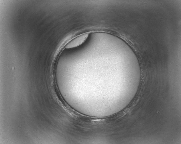 X0000061140053200511181017