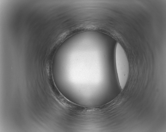 X0000061140072200511181017