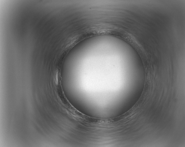X0000061140076200511181017