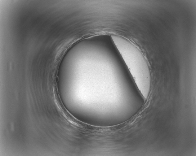 X0000061140097200511181017