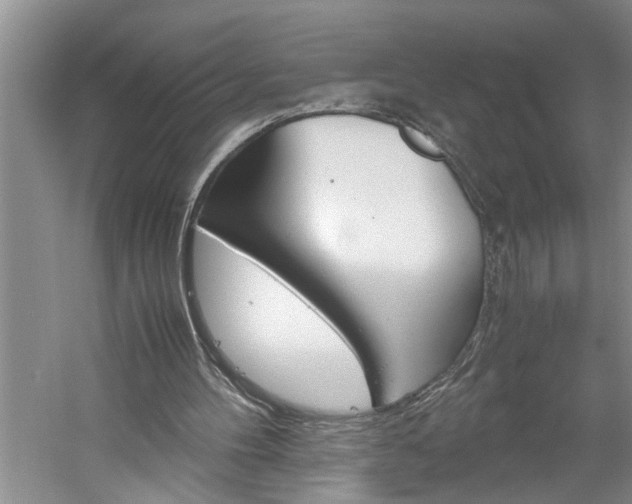 X0000061140100200511181017