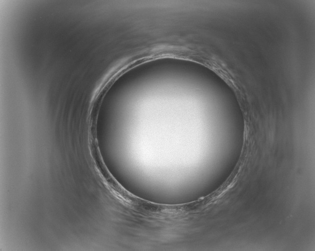 X0000061140101200511181017
