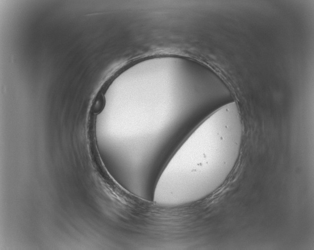 X0000061140104200511181017