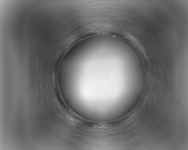 X0000061140113200511181017