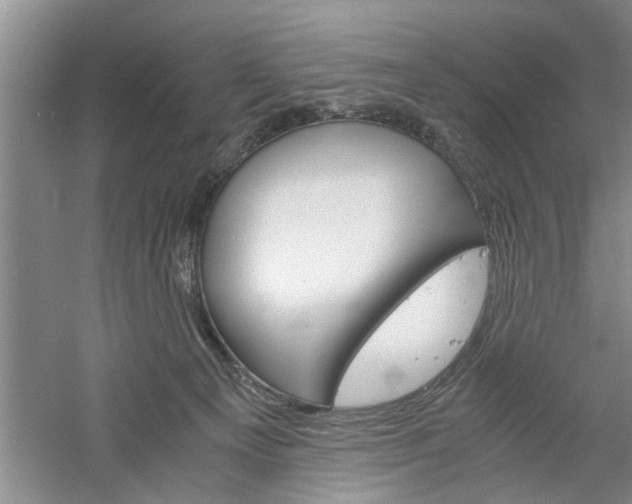 X0000061140129200511181016