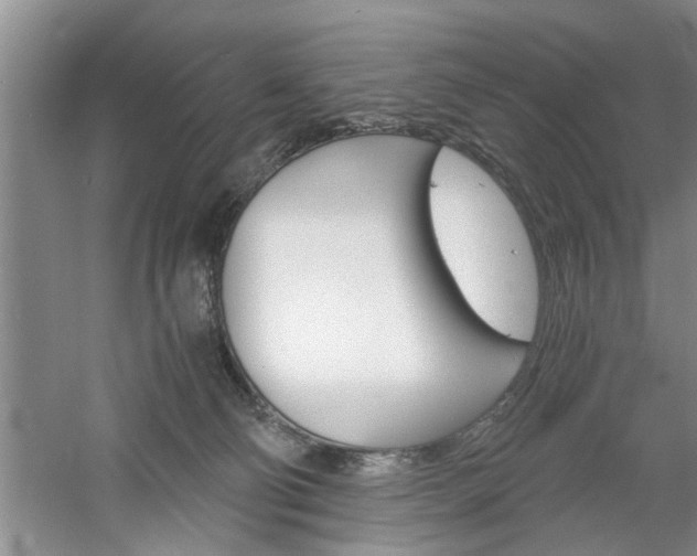 X0000061140130200511181016