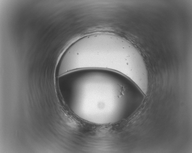 X0000061140148200511181015