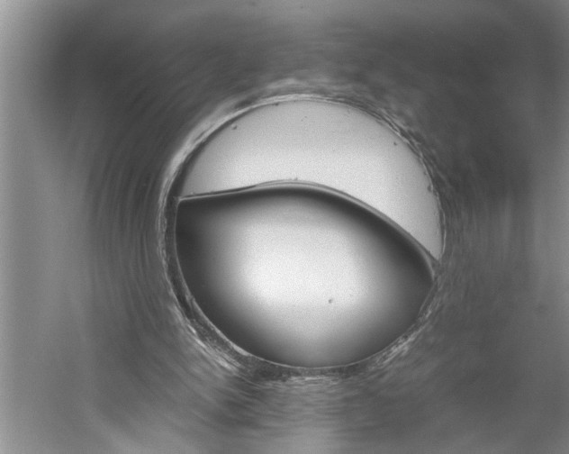 X0000061140150200511181015