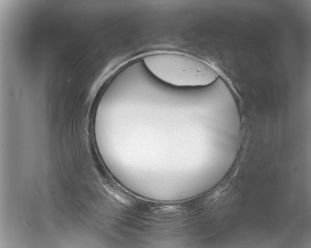 X0000061140151200511181015