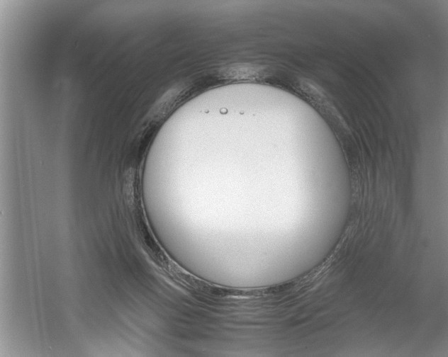 X0000061140167200511181016