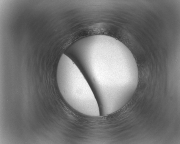 X0000061140177200511181016