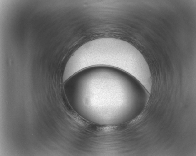 X0000061140184200511181016