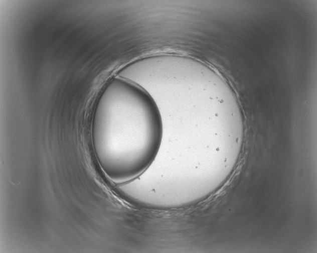 X0000061140193200511181015