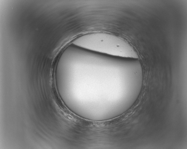 X0000061140194200511181015