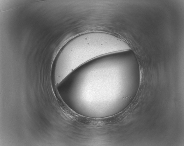 X0000061140195200511181015