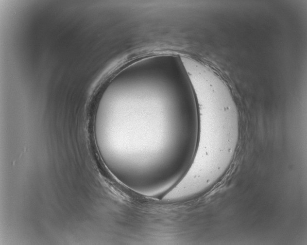 X0000061140197200511181015