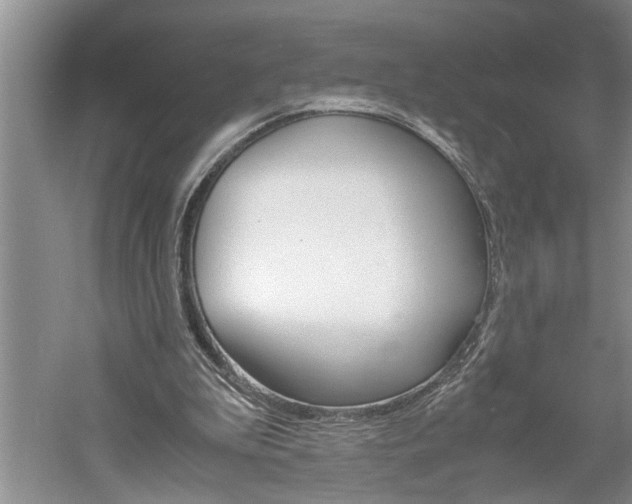 X0000061140199200511181015