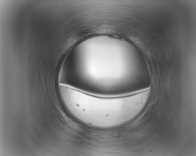 X0000061140201200511181015