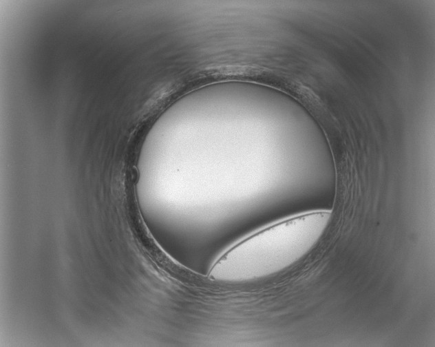 X0000061140207200511181015