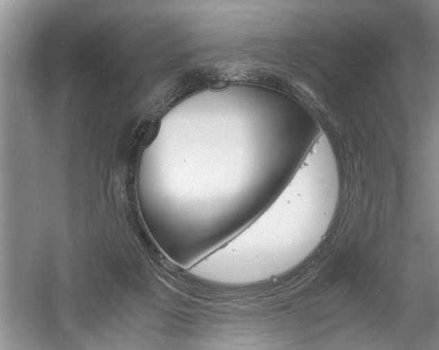 X0000061140217200511181015