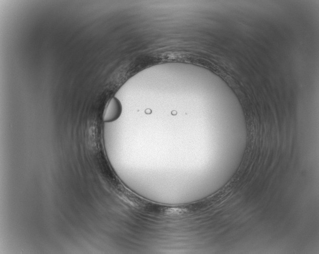 X0000061140222200511181015