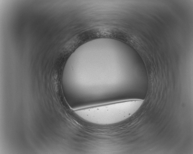X0000061140223200511181015