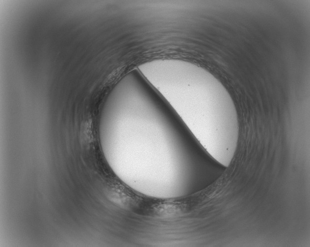 X0000061140224200511181015