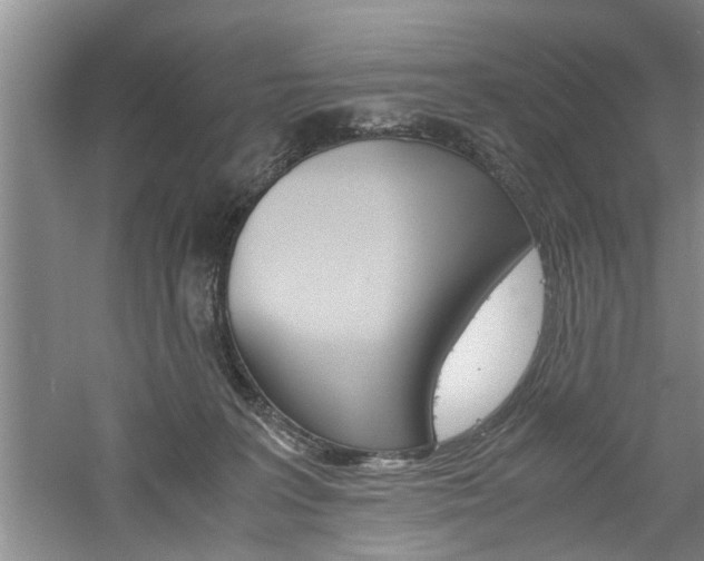 X0000061140227200511181015