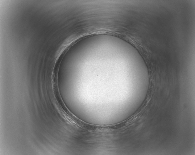 X0000061140242200511181014