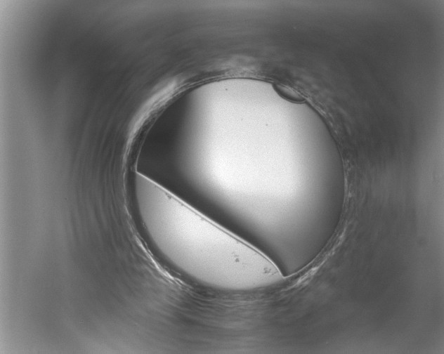 X0000061140245200511181014