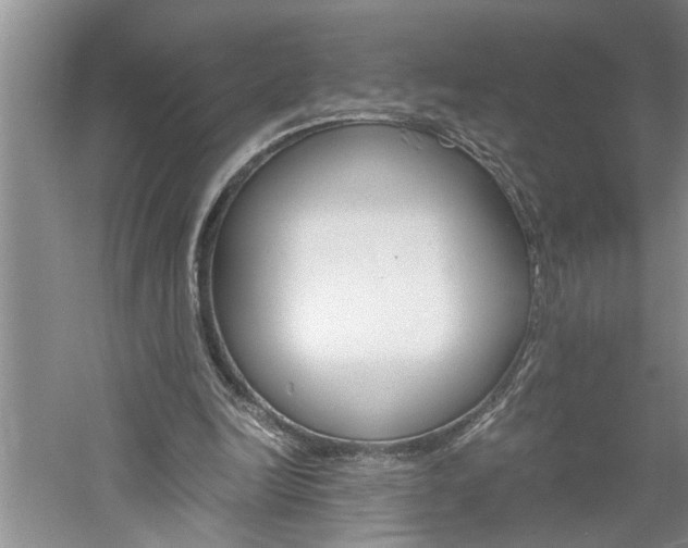 X0000061140246200511181014