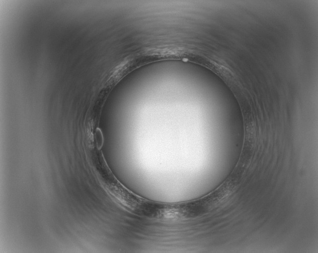 X0000061140264200511181014