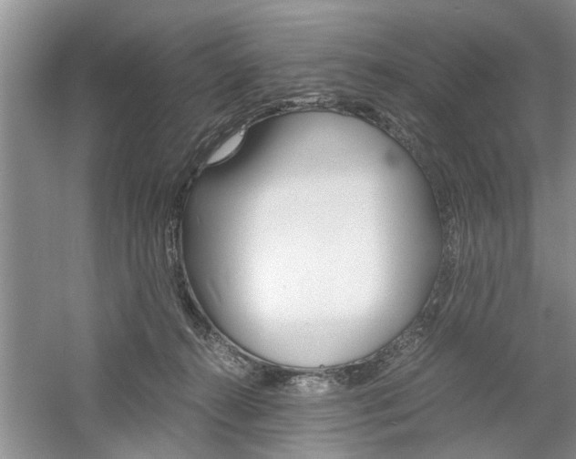 X0000061140272200511181014