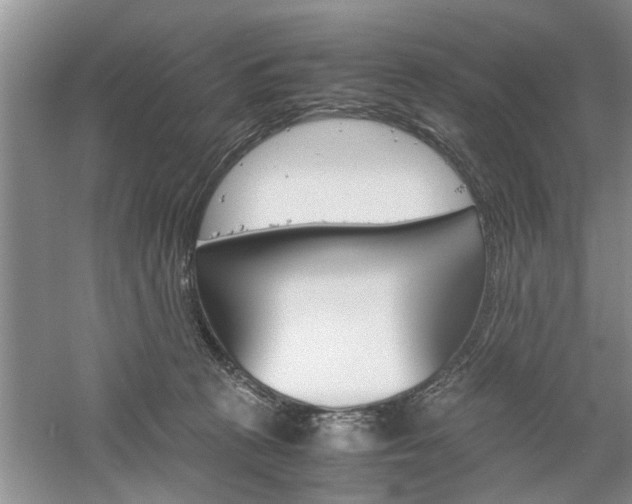 X0000061140273200511181014