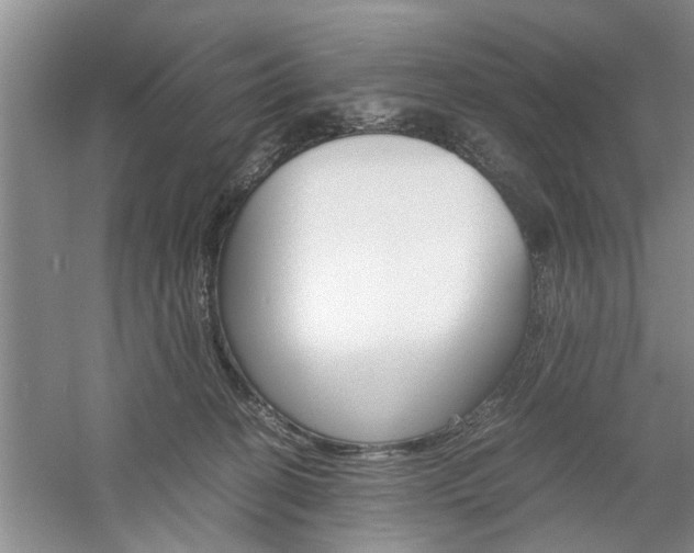 X0000061140274200511181014