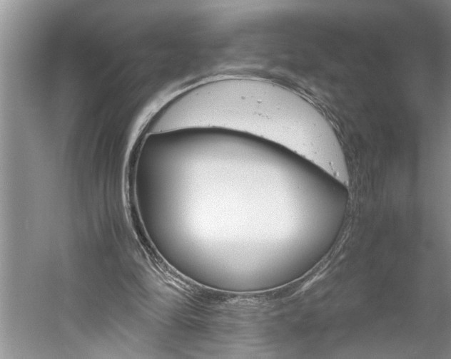 X0000061140294200511181013