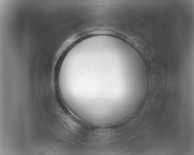 X0000061140296200511181013