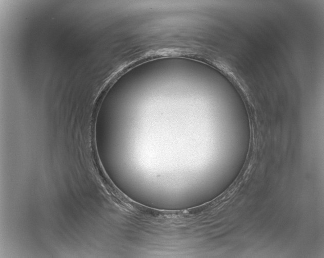 X0000061140297200511181013