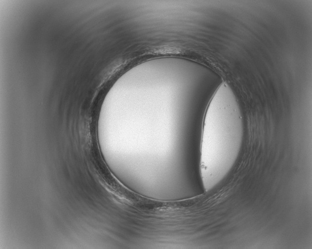 X0000061140300200511181013