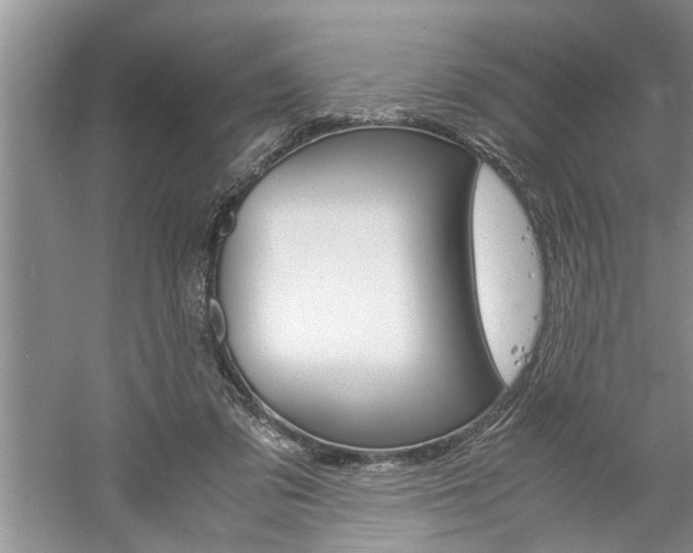 X0000061140309200511181013