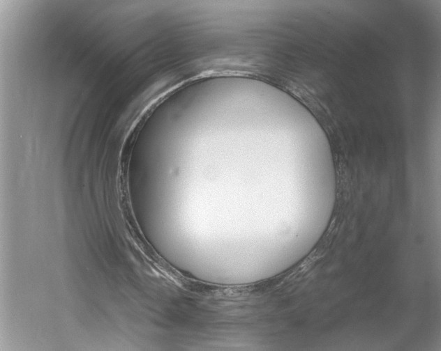 X0000061140338200511181012