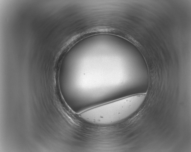 X0000061140350200511181012