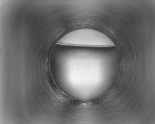 X0000061140364200511181012