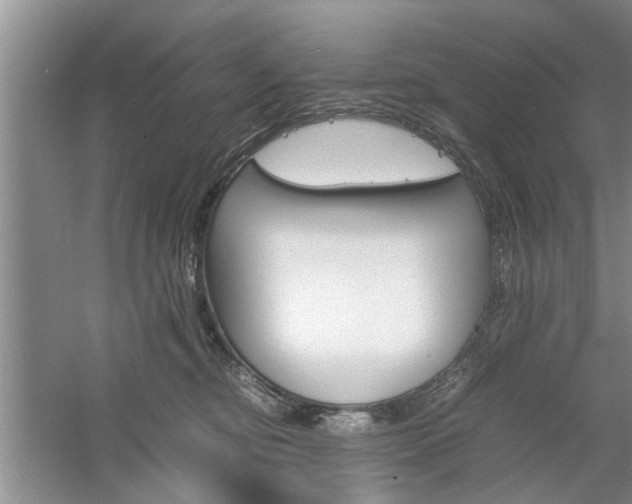 X0000061140374200511181013